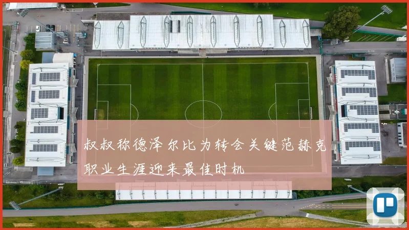 叔叔称德泽尔比为转会关键范赫克职业生涯迎来最佳时机