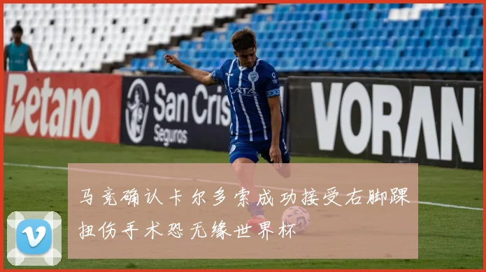 马竞确认卡尔多索成功接受右脚踝扭伤手术恐无缘世界杯
